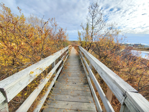 A wooden boardwalk surrounded by autumn foliage leads through a serene landscape under a cloudy sky.