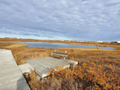 A wooden platform and bench overlook a calm pond surrounded by golden grasses under a cloudy sky.