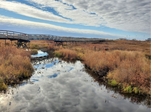 A wooden boardwalk stretches over a marshy landscape with reflections in the water and a cloudy sky above.