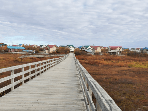 A wooden walkway leads through a grassy area towards colorful houses under a cloudy sky.