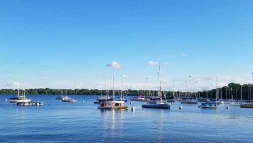 A serene marina with several boats anchored on calm water under a clear blue sky.
