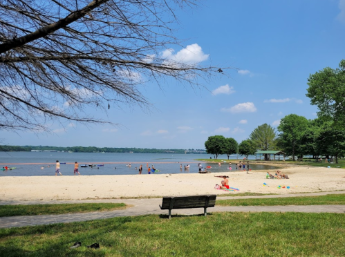 A sandy beach by a lake with people enjoying the sun, trees in the background, and a clear blue sky.