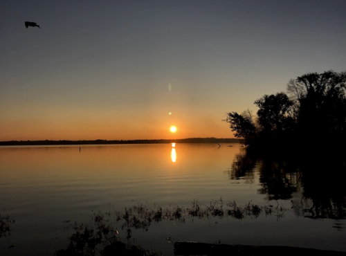 A serene sunset over a calm lake, with silhouettes of trees and a bird flying in the sky.