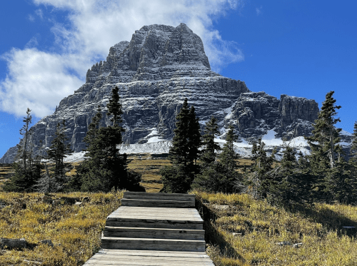 A wooden pathway leads to a majestic mountain, surrounded by evergreen trees and a clear blue sky.