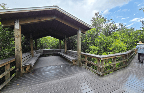 A wooden observation deck surrounded by lush greenery, with a person walking away in a straw hat.