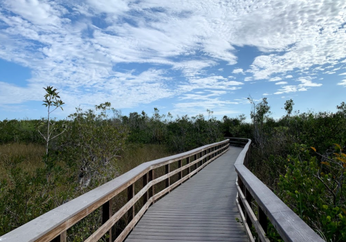 A wooden boardwalk winds through lush greenery under a blue sky with scattered clouds.