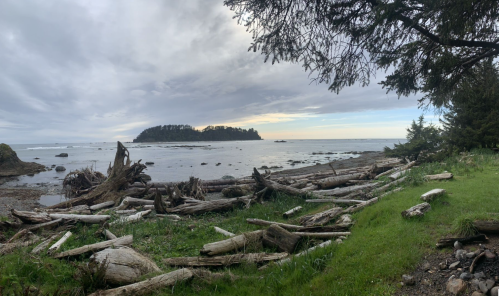 A coastal scene featuring driftwood on the shore, with an island in the distance under a cloudy sky.