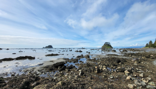 A serene coastal landscape with rocky shorelines, tide pools, and distant islands under a blue sky with scattered clouds.