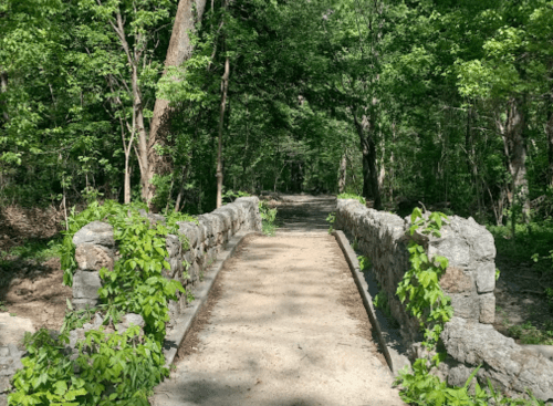 A stone bridge covered in greenery leads into a lush, wooded path.