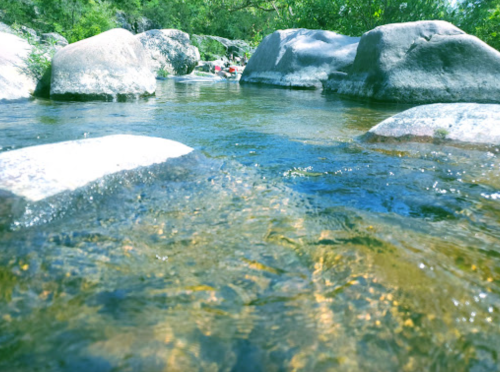 A serene river scene with clear water flowing over smooth rocks, surrounded by lush greenery.