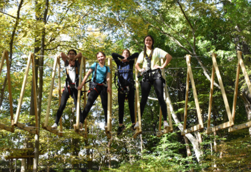 Four people in harnesses pose on a wooden rope bridge surrounded by trees in a sunny outdoor setting.