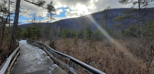 A wooden boardwalk winds through a forested area with mountains in the background and a cloudy sky.