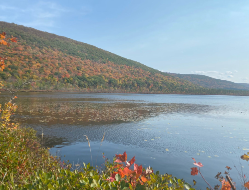 A serene lake surrounded by colorful autumn foliage and a gently sloping hill under a clear blue sky.