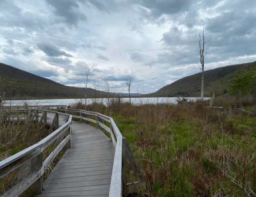 A wooden boardwalk winds through lush greenery, leading to a serene lake surrounded by mountains under a cloudy sky.