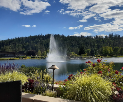 A serene lake scene with a fountain, surrounded by lush greenery and colorful flowers under a blue sky with clouds.