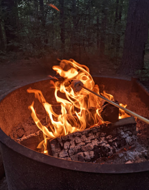 A campfire burns brightly in a metal fire pit, with flames dancing around logs and embers in a wooded setting.