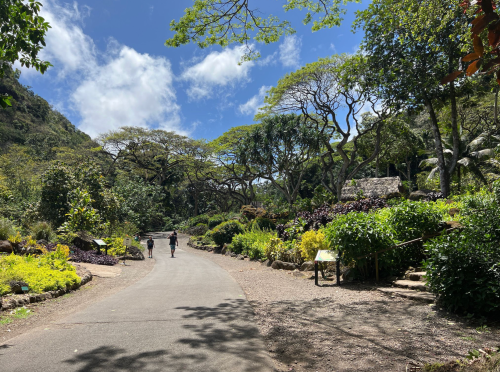 Two people walk along a winding path surrounded by lush greenery and trees under a bright blue sky.