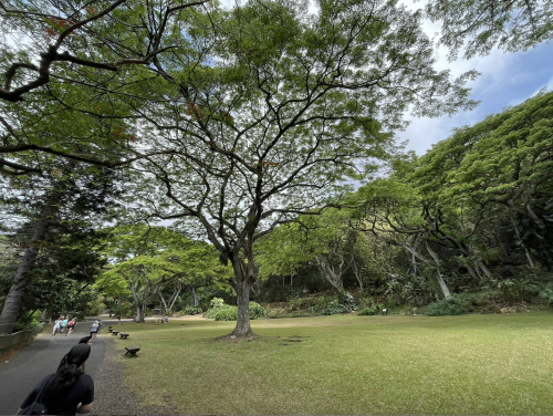 A lush green park with large trees, a grassy area, and people walking along a path under a partly cloudy sky.