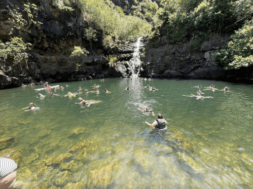 A serene natural pool with a waterfall, filled with people swimming and enjoying the lush surroundings.