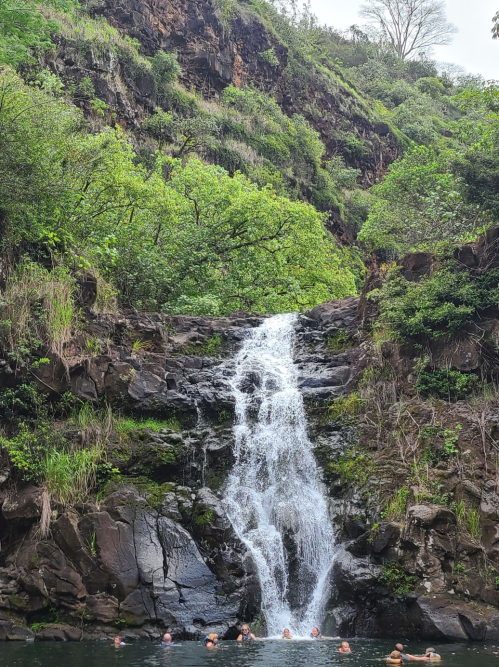 A serene waterfall cascades down rocky cliffs, surrounded by lush greenery, with people swimming in the pool below.