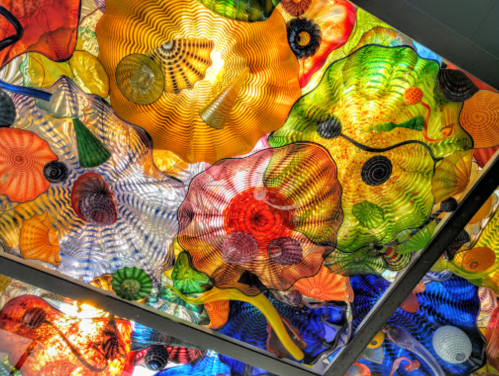 Colorful glass sculptures resembling flowers and shells, illuminated from below, creating a vibrant ceiling display.