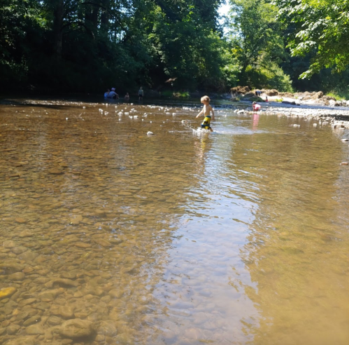 A child wades through a shallow, clear stream surrounded by trees and rocks on a sunny day.