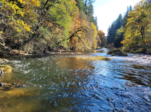 A serene river flows through a forest with vibrant autumn foliage reflecting on the water's surface.