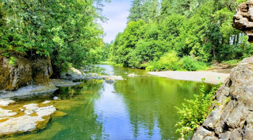 A serene river flows through lush greenery, with rocky banks and calm waters reflecting the surrounding trees.