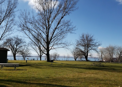 A serene park scene with bare trees, green grass, and a view of a calm lake under a clear blue sky.