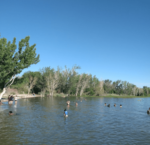 People swimming and playing in a calm river surrounded by trees under a clear blue sky.
