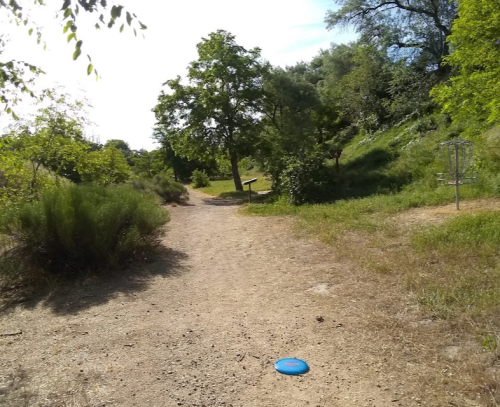 A dirt path through a green park with trees, leading to a disc golf basket in the distance.