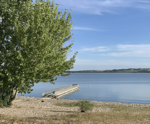 A serene lakeside view with a tree, a wooden dock, and calm water under a clear blue sky.
