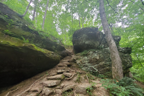 A rocky path leads up through a lush green forest with large boulders and trees surrounding the area.