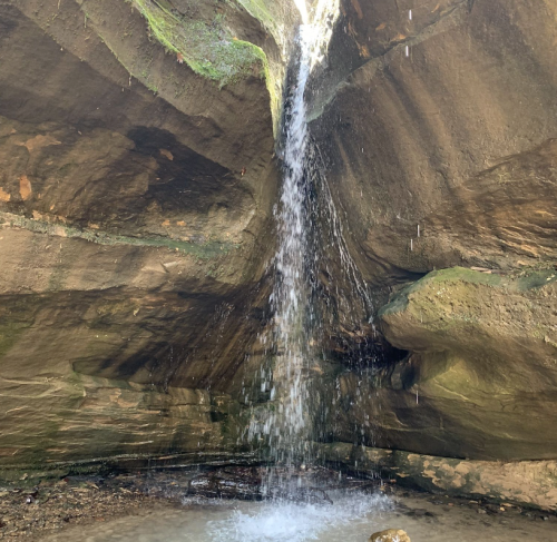 A small waterfall cascading down a rocky cliff into a shallow pool below, surrounded by earthy tones and greenery.