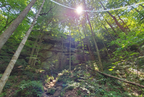 Sunlight filters through tall trees, illuminating a rocky cliff in a lush green forest.
