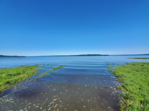 A serene lake view with calm waters and green grass along the shore under a clear blue sky.