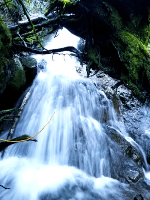 A serene waterfall cascades over rocks, surrounded by lush greenery and moss-covered branches.