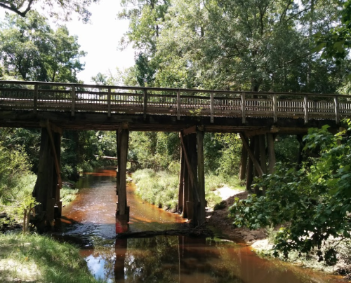 A wooden bridge spans a narrow, muddy creek surrounded by lush greenery and trees under a bright sky.