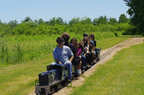 A group of people riding a miniature train on a sunny day, surrounded by greenery and open fields.