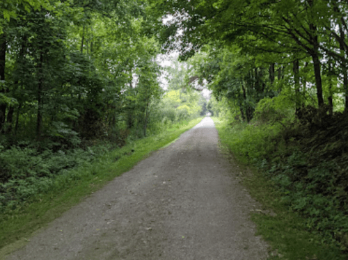 A gravel path surrounded by lush green trees and foliage, leading into the distance.