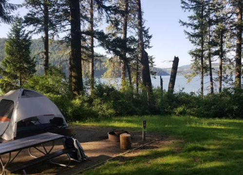 A serene campsite with a tent, picnic table, and fire pit, surrounded by trees and overlooking a calm lake.