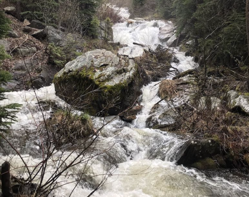 A rushing waterfall cascades over rocks, surrounded by trees and moss, creating a serene natural scene.