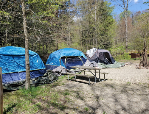 Three tents in a wooded campsite, with a picnic table and a fire pit nearby, under a clear blue sky.