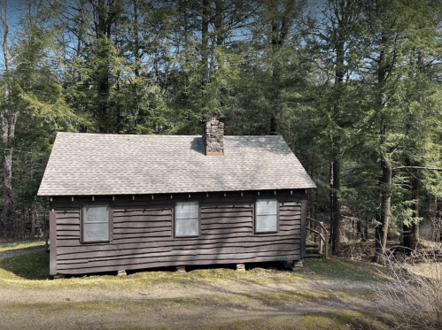 A small, rustic brown cabin surrounded by tall green trees and a gravel path.