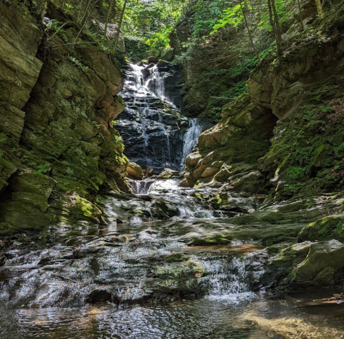 A serene waterfall cascades down rocky cliffs, surrounded by lush greenery and a tranquil pool at the base.