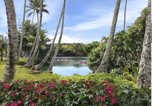 Lush tropical landscape with palm trees, vibrant flowers, and a serene lake under a clear blue sky.