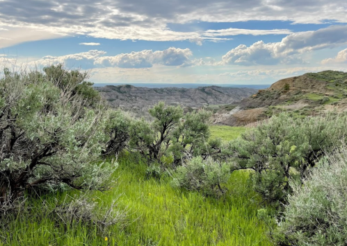 A scenic view of rolling hills and clouds, framed by green shrubs and grass in a natural landscape.