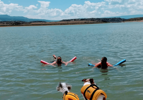 Two people swim with pool noodles in a lake, while two dogs watch from the shore. Bright blue sky and mountains in the background.