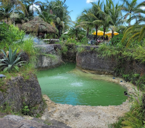 A lush, green pond surrounded by tropical plants and palm trees, with a thatched hut in the background.