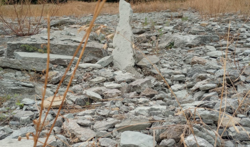 A rocky landscape with scattered stones and dry grass, featuring a prominent upright stone in the center.